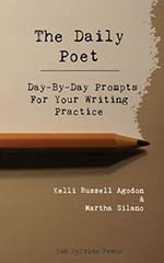 The Daily Poet Book Cover - Top Books for Poetry Writers